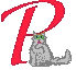 P Cat!