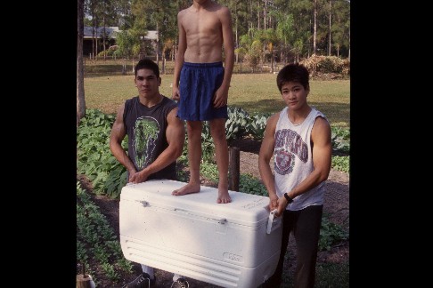 click to see larger version with description