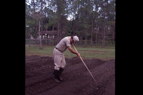 click to see larger version with description