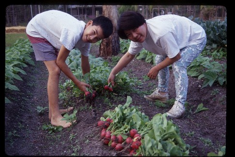 click to see larger version with description