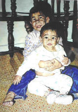 click to see larger version with description