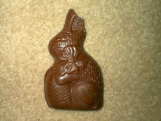 Chocolate Bunny