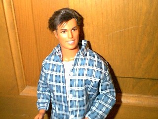 Blue Checkerd Shirt Max