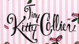 Tiny Kitty Logo