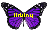 litblog - response to texts