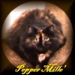Pepper Mille