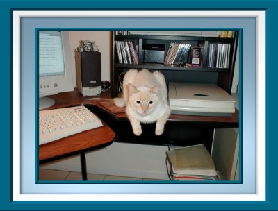 Levi - waiting to answer your questions