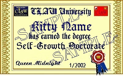 diploma sample