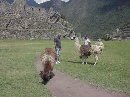 Phil con las llamas.