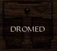 drom.jpg (7094 bytes)