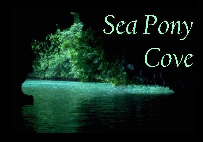 Welcome to Sea Pony Cove!  Site includes a sale page, info on ponies from Argentina, Collection pictures, and more!
