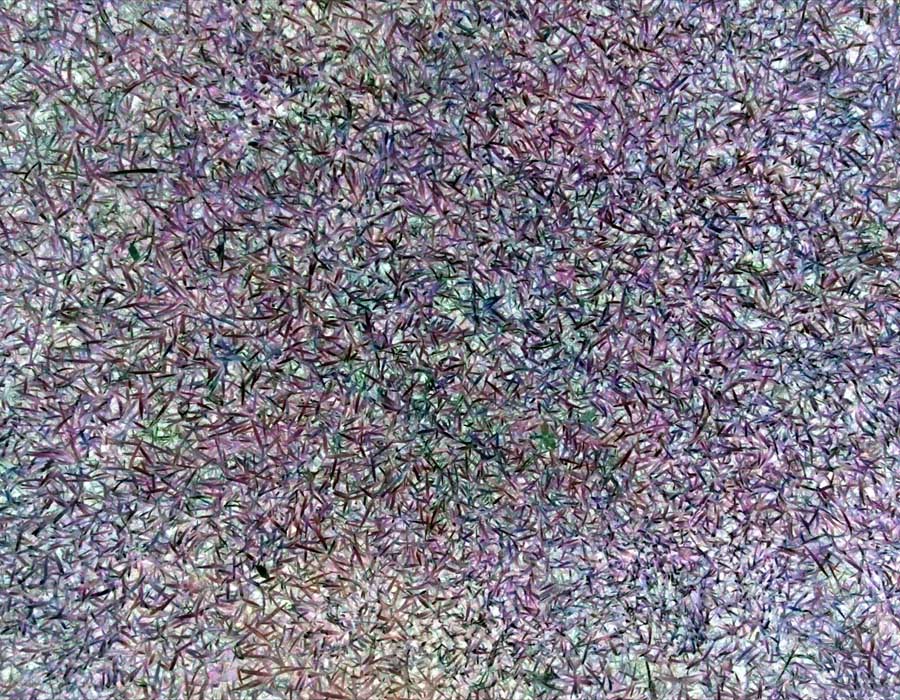 Inverted colours of grass