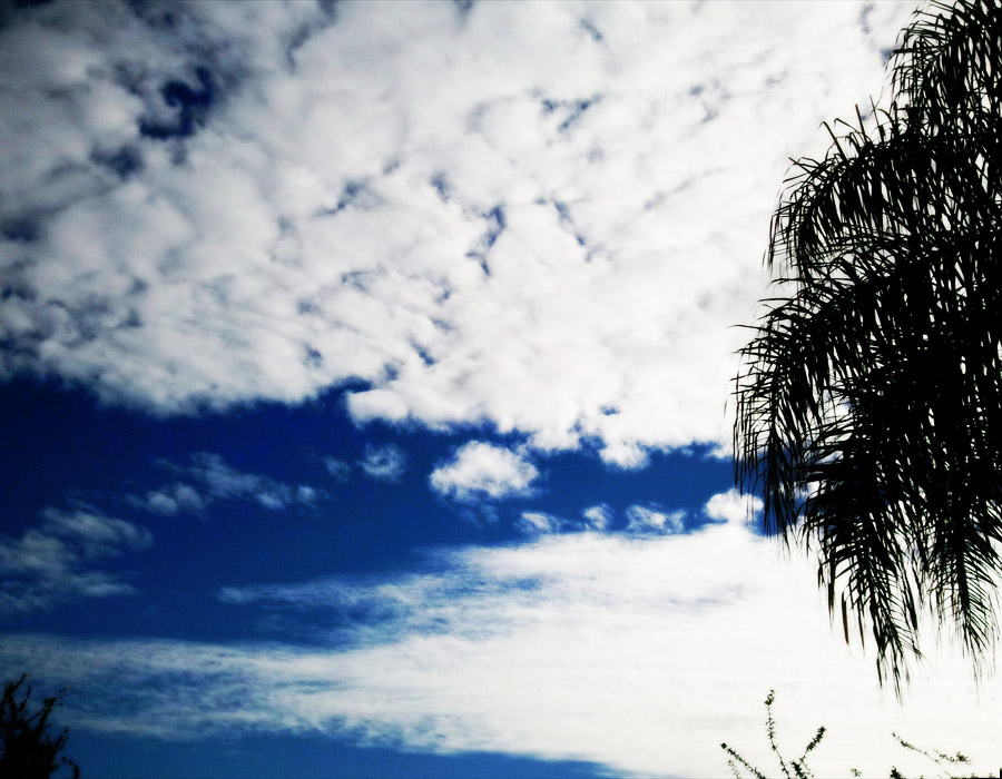 The clouds with a hint of texture