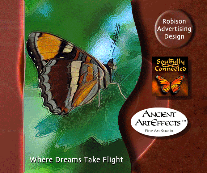 Where Dreams Take Flight!