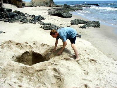 Doggy paddle, anyone?