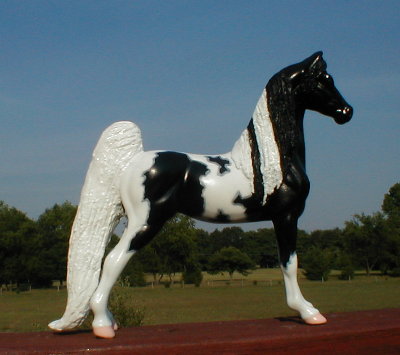 sbrescblktoblong.jpg - 36182 Bytes