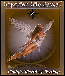 800superiorwing2.jpg (31757 octets)