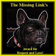 Award12.jpg (20526 octets)