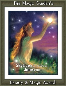 BM_june2001_skyhawk.jpg (26450 octets)