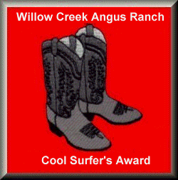 CoolSurfAwrd.gif (33635 octets)