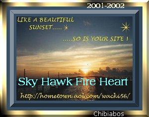 Hawk1.jpg (17936 octets)