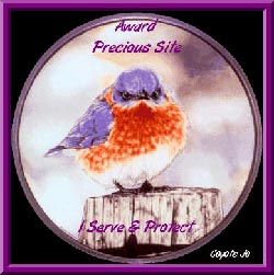 PRECIOUSawardX.jpg (26346 octets)