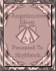 SkyHawkmerit.jpg (8272 octets)