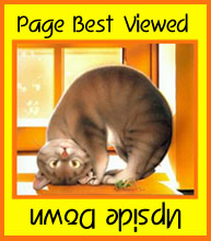 akitty.jpg (20107 octets)