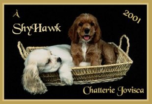 award_shy.jpg (16929 octets)