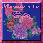 beauty-1.gif (12353 octets)