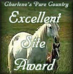 cpcexcellent1.jpg (21495 octets)