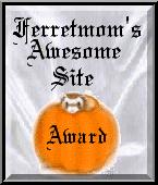 ferret2.jpg (7108 octets)