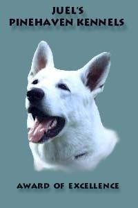 jueli.jpg (7342 octets)