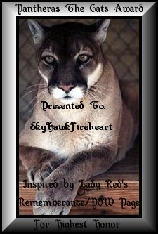 ptcafhh-skyhawkfireheart.jpg (23912 octets)