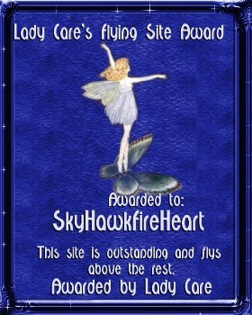 skyhawk_lcflyingsiteaward.jpg (33072 octets)
