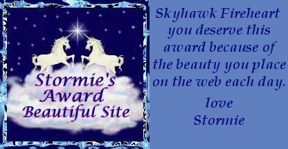 skyhawk_second_award.jpg (28978 octets)