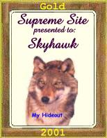 skyhawkaward.jpg (9357 octets)