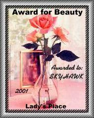 skyhawkbeatawrd.jpg (15255 octets)