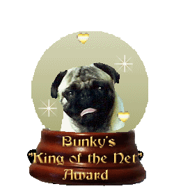 Bunky's Wonderful Life