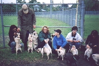 a group of Pugs and their People