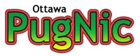 This is Ottawa PugNic h.q.