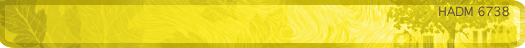 Yellow Banner