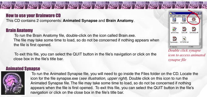 CD Insert for Brainware CD