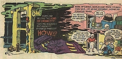 A young Ocotopus at work...