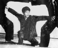 mestrelee ataque.jpg (28639 bytes)