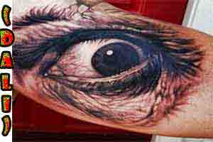 DESIGNACION SALVADOR DALI (MAESTRO DE MAESTROS )