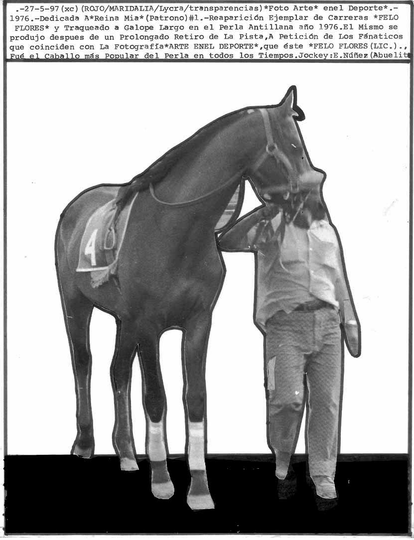 EL CAMPEON DEL PISTA DEL HIPODROMO PERLA ANTILLANA LIC.FELO FLORES Y SU ULTIMA EXHIBICION HIPICA DESPUES DE SU RETIRO EN EL PERLA ANTILLANA A&Ntilde;O 1972.