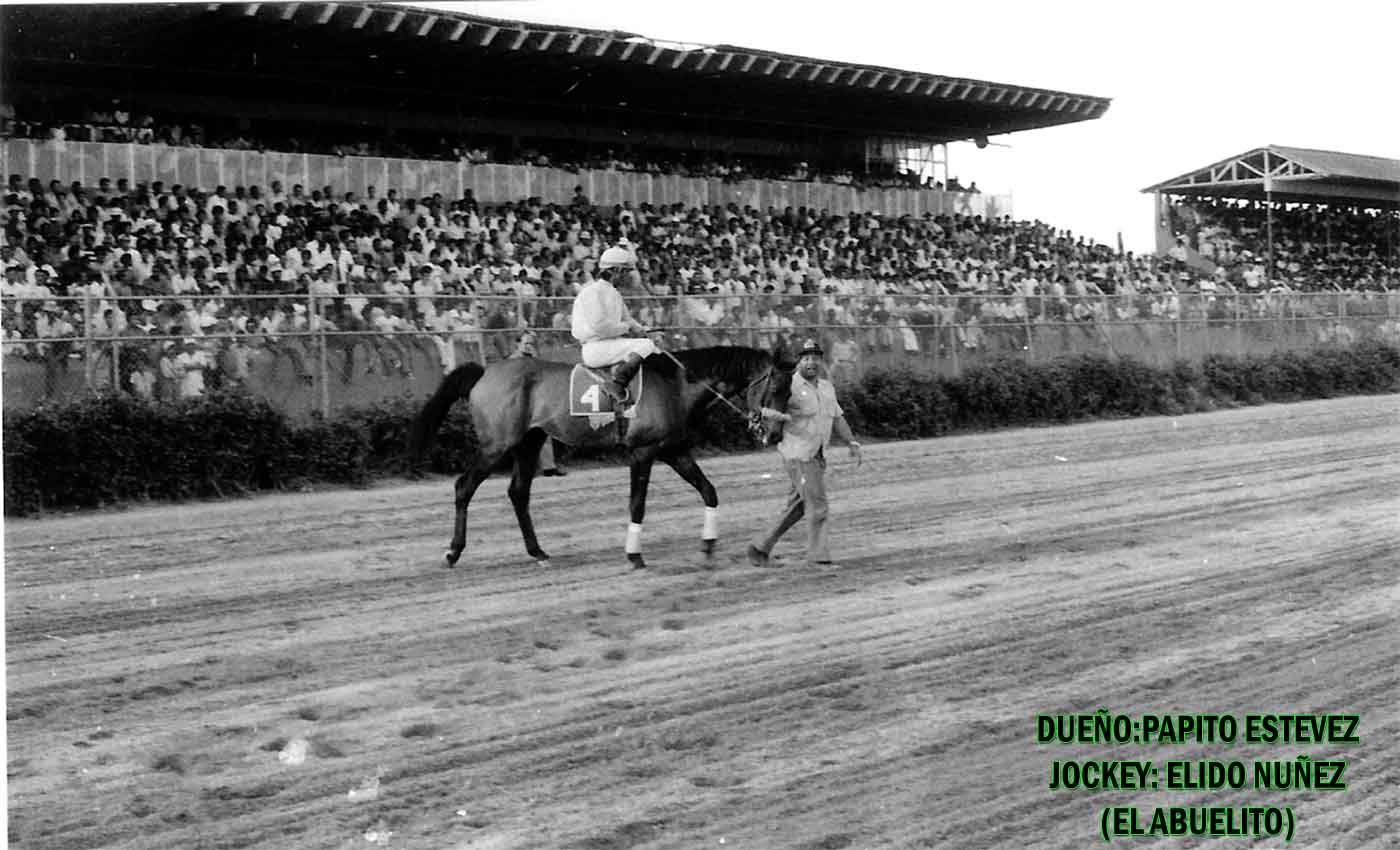 EL CAMPEON DEL PISTA DEL HIPODROMO PERLA ANTILLANA LIC.FELO FLORES Y SU ULTIMA EXHIBICION HIPICA DESPUES DE SU RETIRO EN EL PERLA ANTILLANA A&Ntilde;O 1972.