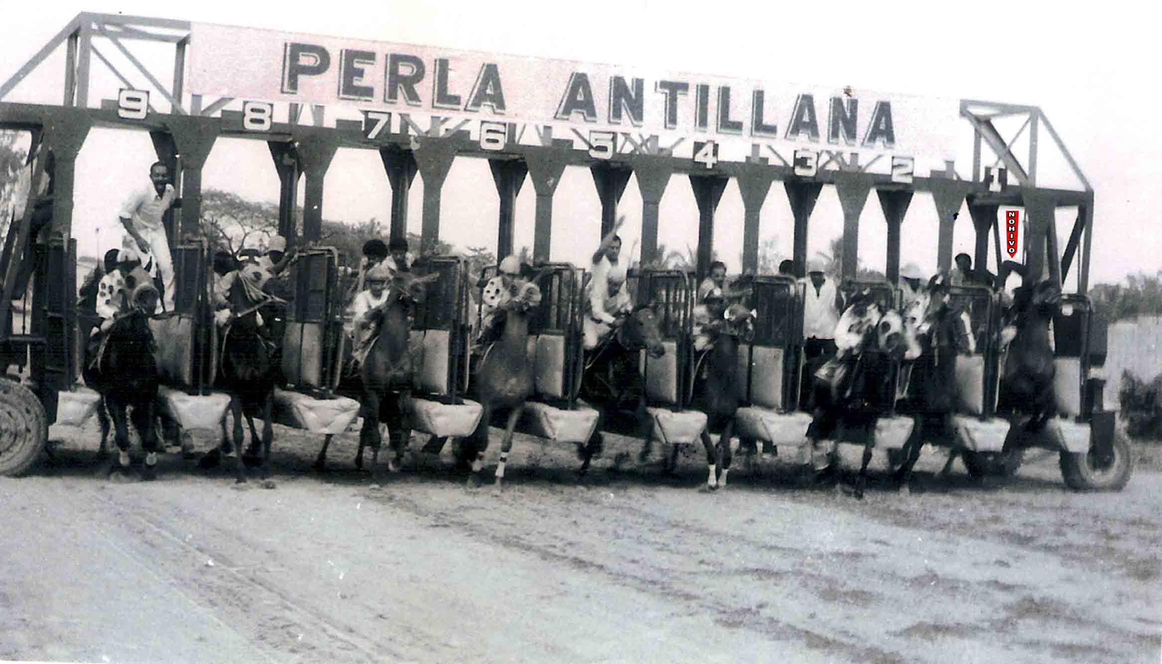 LA GATERA-THE STARTINGATE.