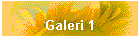 Galeri 1